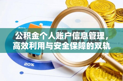 资金公积金个人账户信息管理，高效利用与安全保障的双轨并行