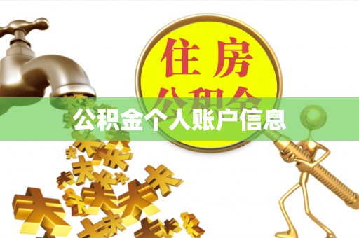 资金公积金个人账户信息