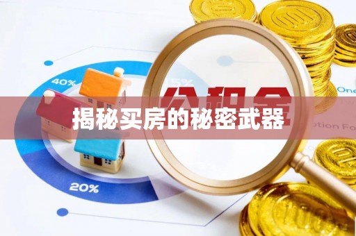 资金揭秘买房的秘密武器