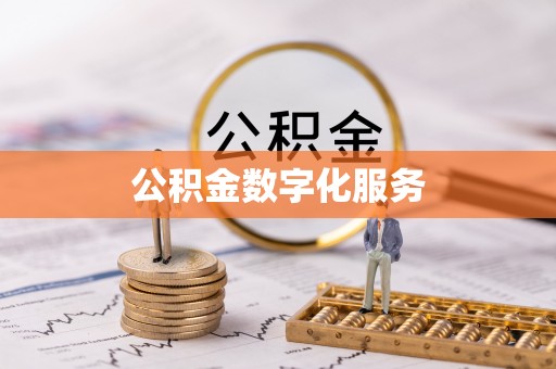 资金公积金数字化服务