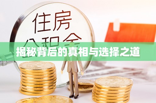 资金揭秘背后的真相与选择之道
