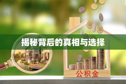 资金揭秘背后的真相与选择
