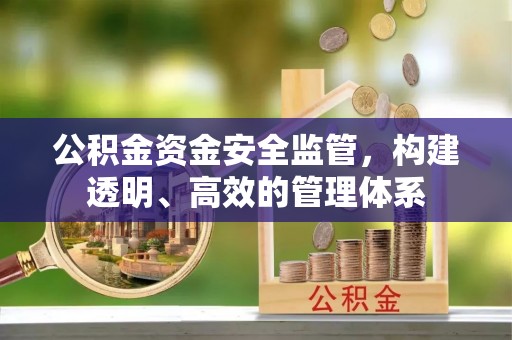 资金公积金资金安全监管，构建透明、高效的管理体系