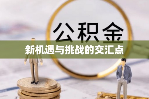 资金新机遇与挑战的交汇点