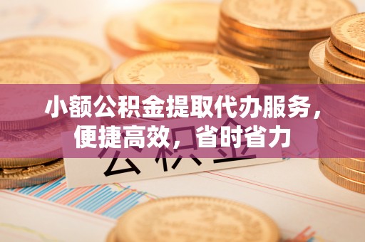 资金小额公积金提取代办服务，便捷高效，省时省力