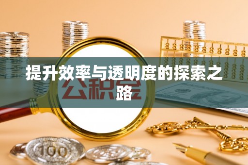 资金提升效率与透明度的探索之路