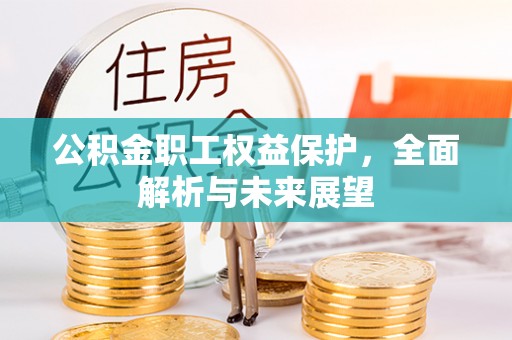 资金公积金职工权益保护，全面解析与未来展望