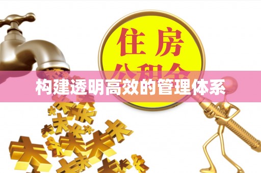 资金构建透明高效的管理体系