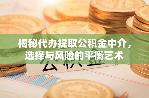 资金揭秘代办提取公积金中介，选择与风险的平衡艺术
