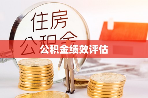 资金公积金绩效评估