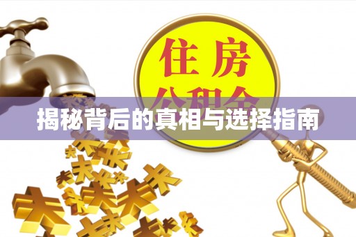 资金揭秘背后的真相与选择指南