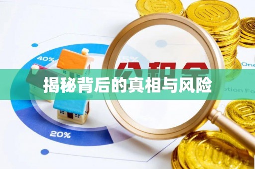 资金揭秘背后的真相与风险