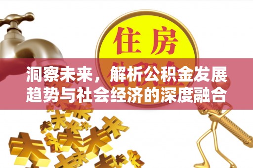 资金洞察未来，解析公积金发展趋势与社会经济的深度融合
