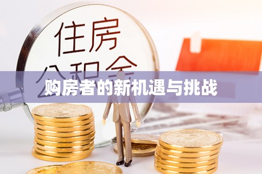 资金购房者的新机遇与挑战