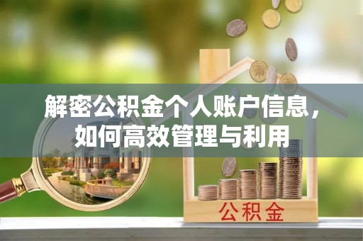 资金解密公积金个人账户信息，如何高效管理与利用