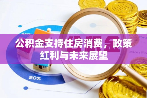 资金公积金支持住房消费，政策红利与未来展望