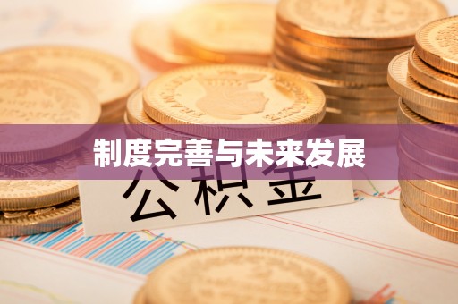 资金制度完善与未来发展
