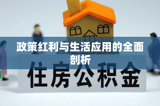 资金政策红利与生活应用的全面剖析