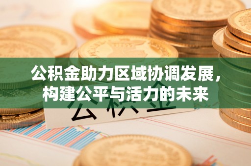 资金公积金助力区域协调发展，构建公平与活力的未来