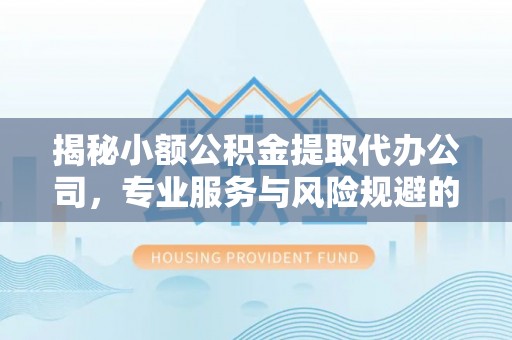 资金揭秘小额公积金提取代办公司，专业服务与风险规避的平衡艺术