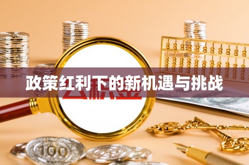 资金政策红利下的新机遇与挑战