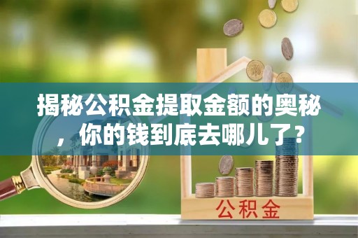 资金揭秘公积金提取金额的奥秘，你的钱到底去哪儿了？