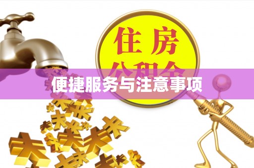 资金便捷服务与注意事项