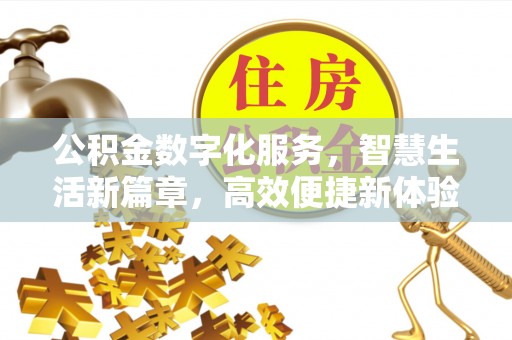 资金公积金数字化服务，智慧生活新篇章，高效便捷新体验