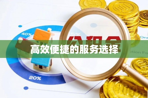 资金高效便捷的服务选择